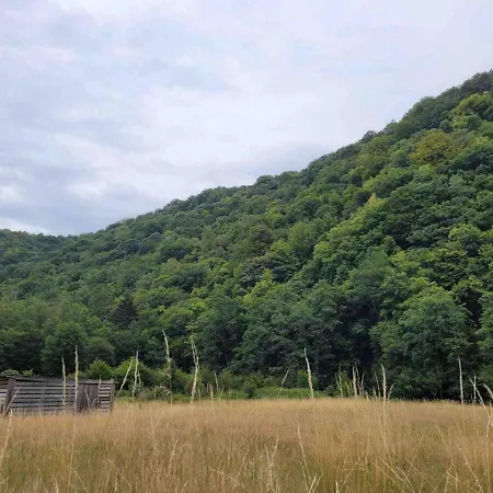 Maison 4p Piscine Et Parc Naturel Les Hautes-Rivières